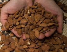 Gli Ingredienti dei nostri Snack