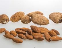 Gli Ingredienti dei nostri Snack